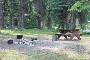 My own personal picnic area